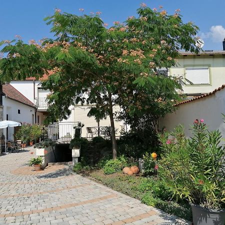 Gaestehaus Anita Breitenbrunn  Exterior photo